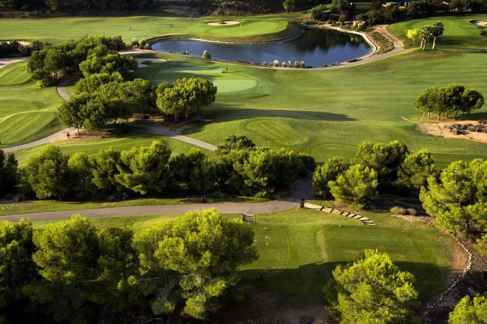 3 bedroom Villa for sale in Pinar de Campoverde with pool - € 499,000 (Ref: 9162969)