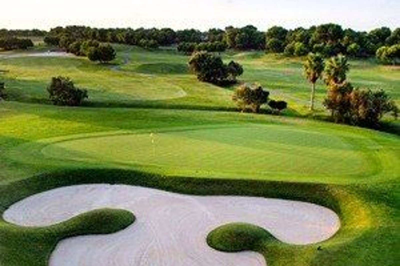 3 bedroom Villa for sale in Pinar de Campoverde with pool - € 460,000 (Ref: 9175681)