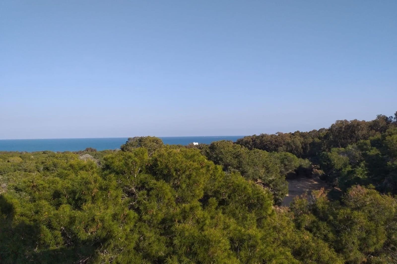 4 soverom Leilighet til salgs i Guardamar del Segura med svømmebasseng - € 470 000 (Ref: 9438580)