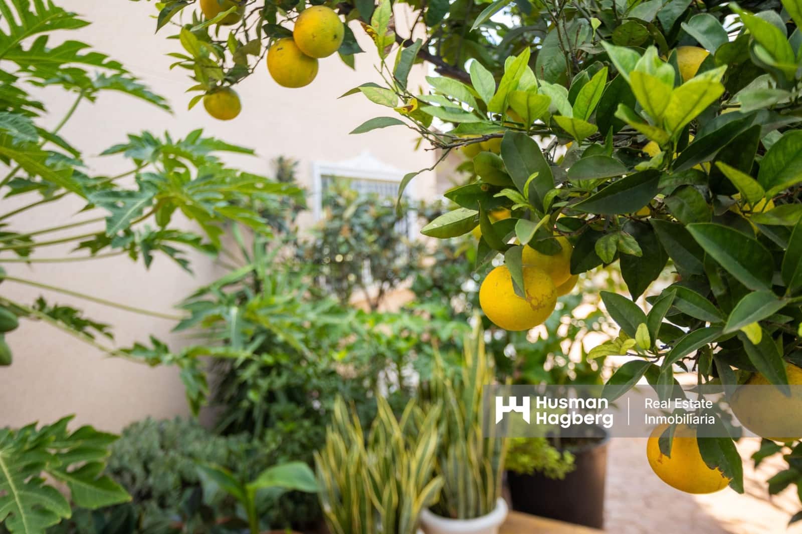 3 makuuhuone Huvila myytävänä paikassa La Zenia mukana uima-altaan - 419 000 € (Ref: 9495255)