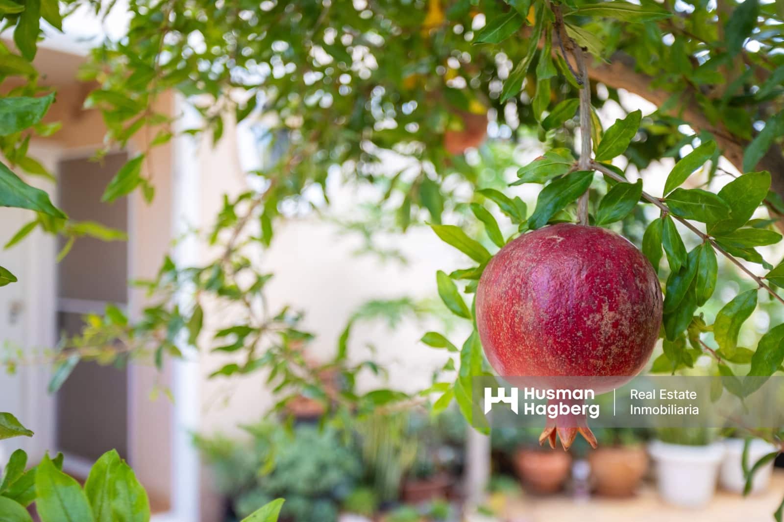 3 makuuhuone Huvila myytävänä paikassa La Zenia mukana uima-altaan - 419 000 € (Ref: 9495255)