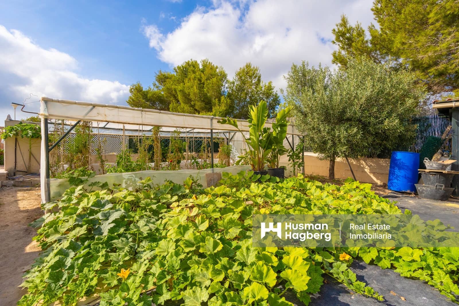 4 sypialnia Willa na sprzedaż w Villamartin z basenem - 699 900 € (Ref: 9759641)