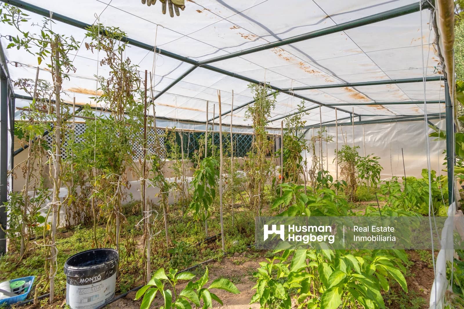 4 sypialnia Willa na sprzedaż w Villamartin z basenem - 699 900 € (Ref: 9759641)