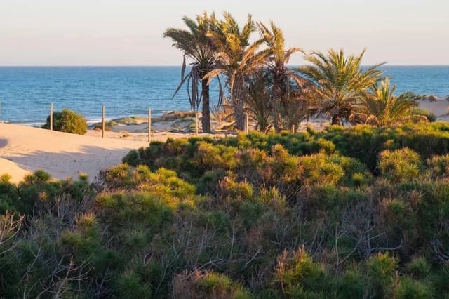 2 sypialnia Apartament na sprzedaż w Puerto Deportivo, Guardamar del Segura z basenem - 245 000 € (Ref: 9789576)