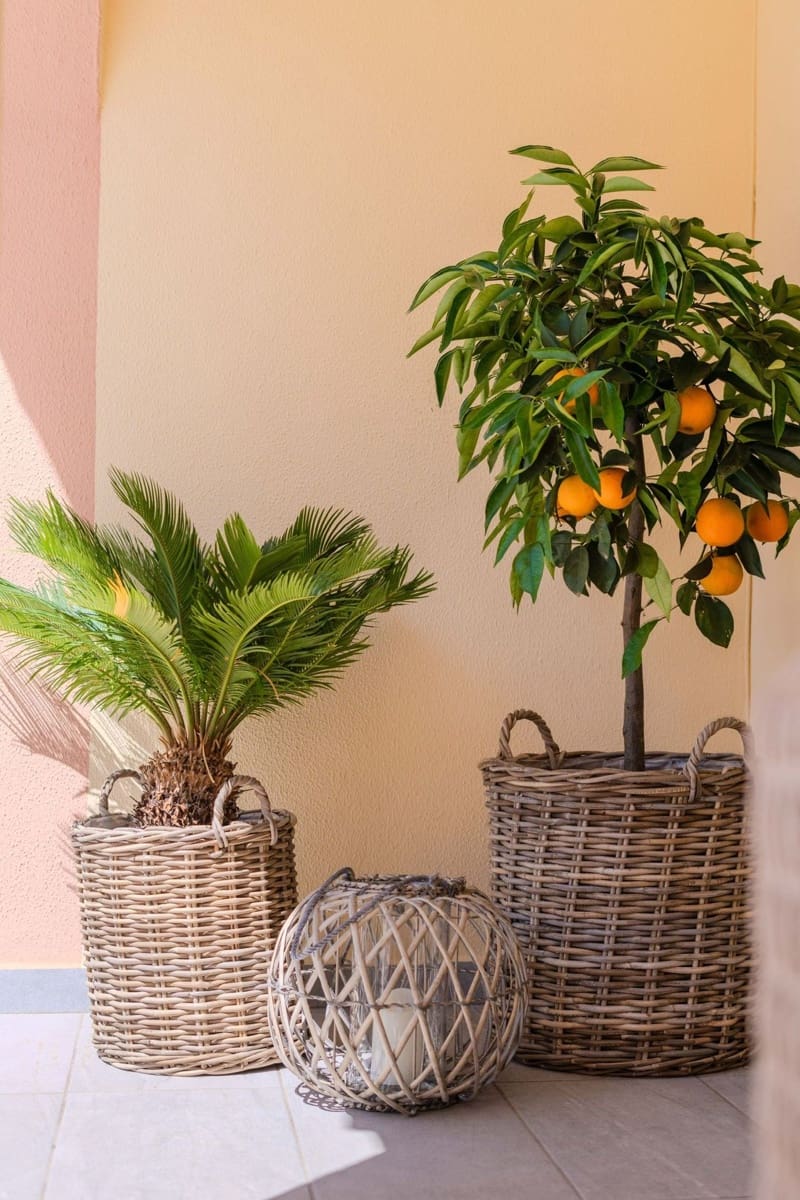 3 bedroom Townhouse for sale in Punta Prima with pool - € 280,000 (Ref: 9928051)