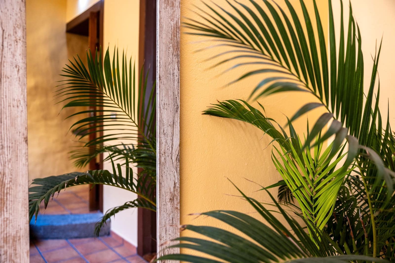 5 quarto Casa em Banda para venda em Santa Maria de Guia de Gran Canaria - 780 000 € (Ref: 8332569)