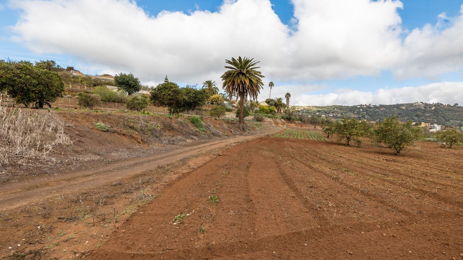 5 soveværelse Finca/Landehus til salg i Santa Brigida med garage - € 1.797.000 (Ref: 8880933)