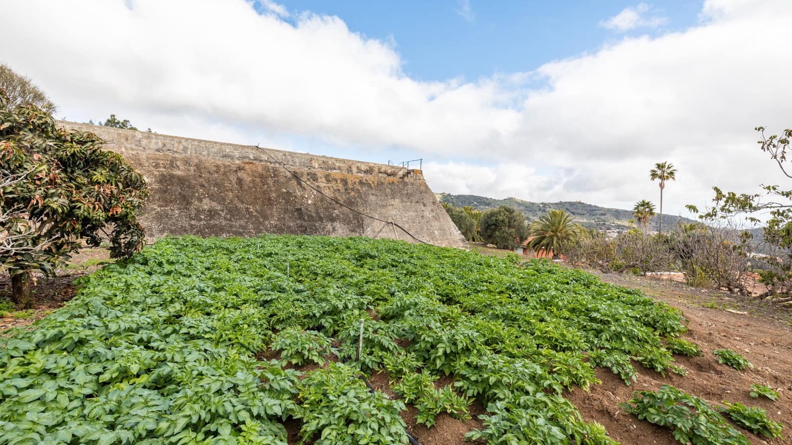 5 soveværelse Finca/Landehus til salg i Santa Brigida med garage - € 1.797.000 (Ref: 8880933)