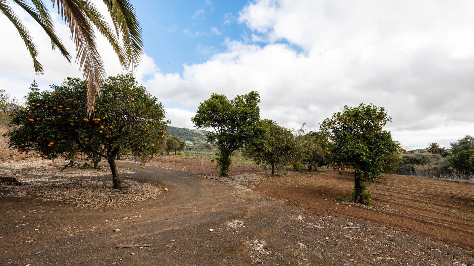 5 soveværelse Finca/Landehus til salg i Santa Brigida med garage - € 1.797.000 (Ref: 8880933)