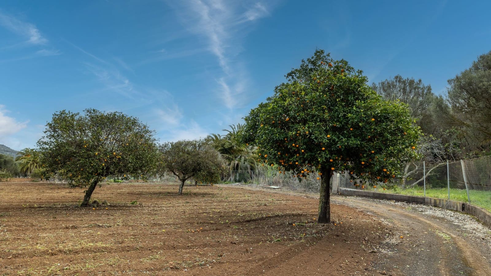 5 soveværelse Finca/Landehus til salg i Santa Brigida med garage - € 1.797.000 (Ref: 8880933)