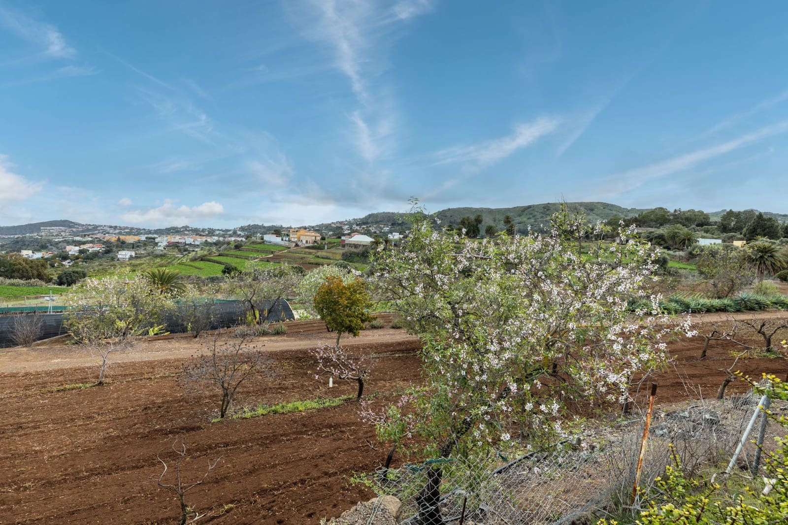 5 soveværelse Finca/Landehus til salg i Santa Brigida med garage - € 1.797.000 (Ref: 8880933)