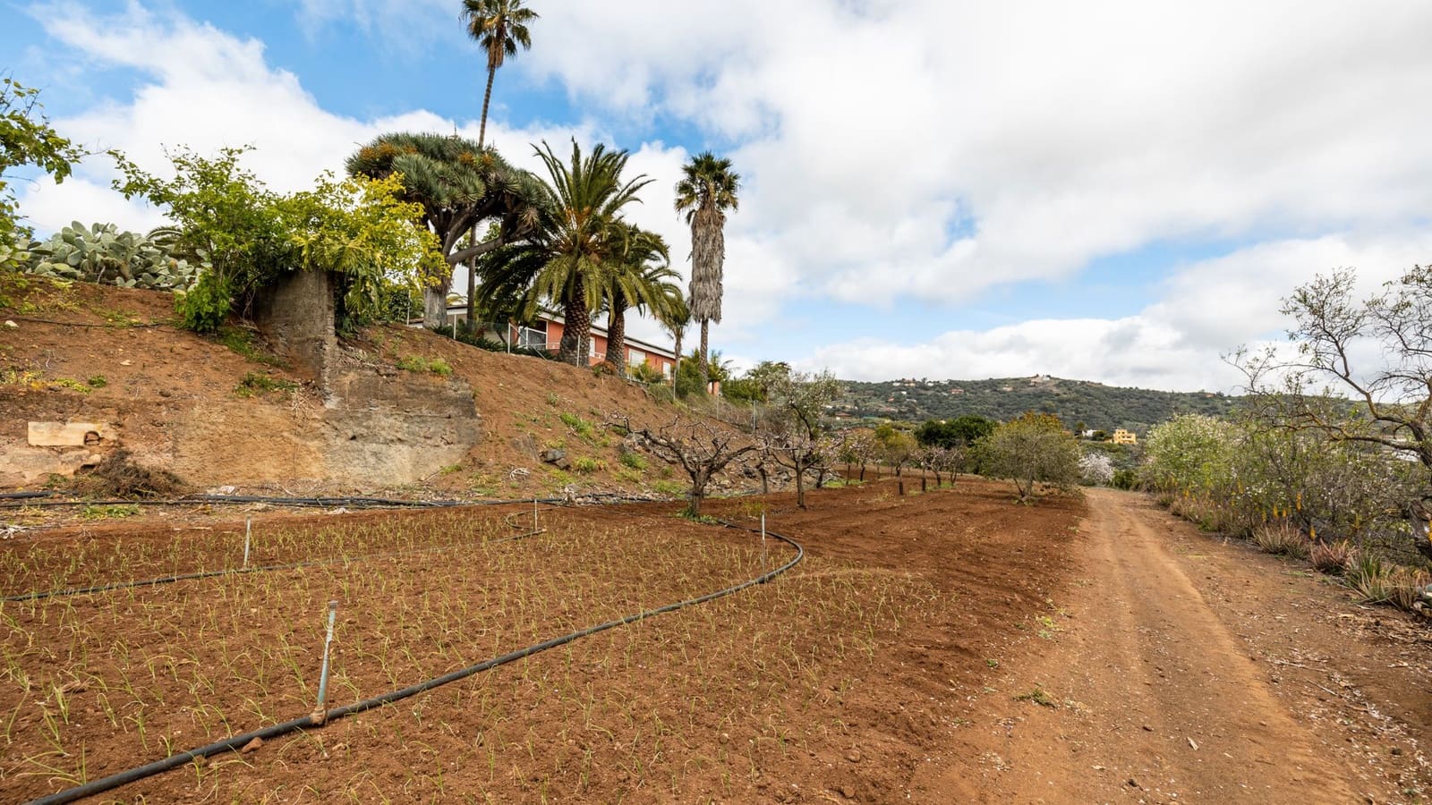 5 soveværelse Finca/Landehus til salg i Santa Brigida med garage - € 1.797.000 (Ref: 8880933)