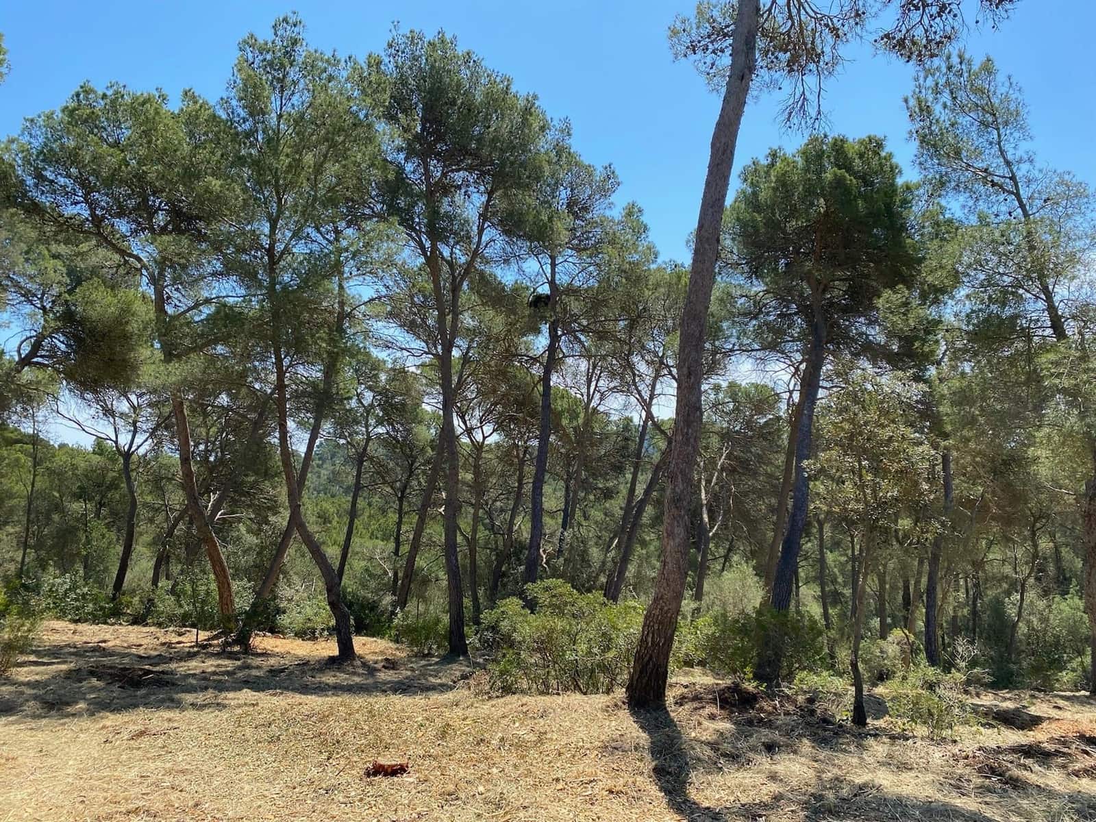 4 quarto Moradia para venda em Portocristo / Port de Manacor com piscina - 4 950 000 € (Ref: 8334478)