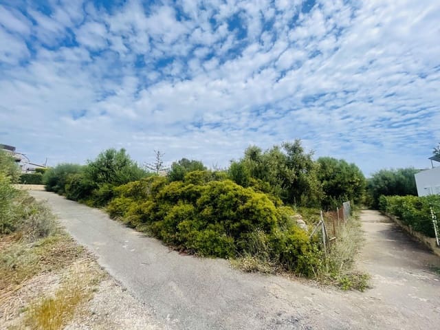 Ubebygd land til salgs i Manacor - € 389 000 (Ref: 9014184)