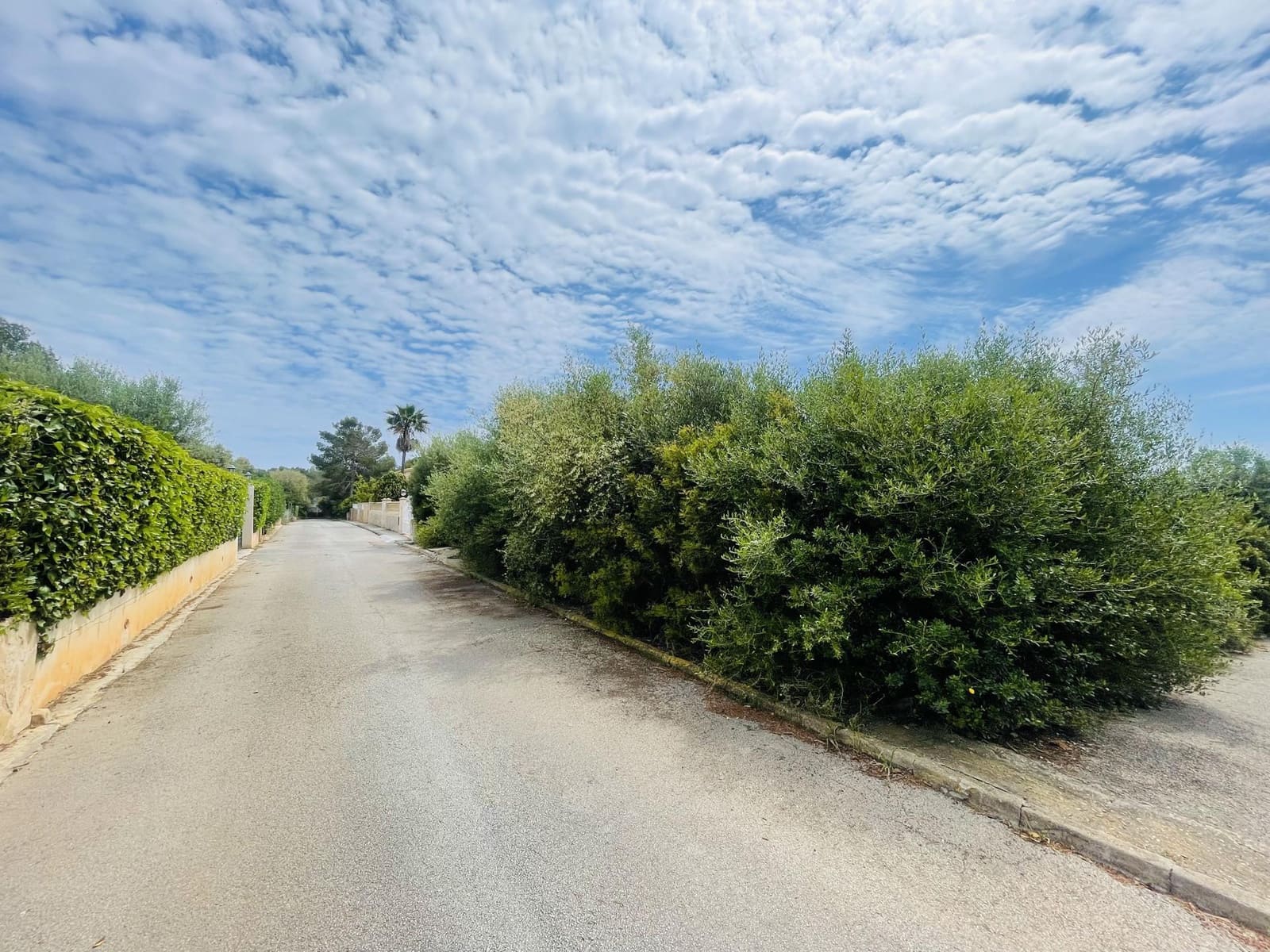 Ubebygd land til salgs i Manacor - € 389 000 (Ref: 9014184)