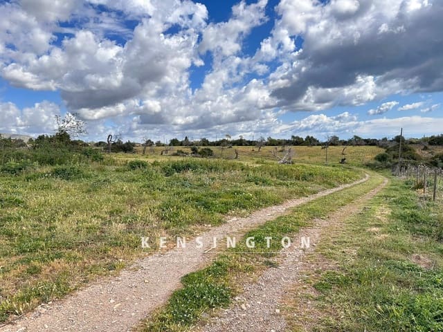 4 soverom Villa til salgs i Son Macia, Manacor - € 1 250 000 (Ref: 9188727)