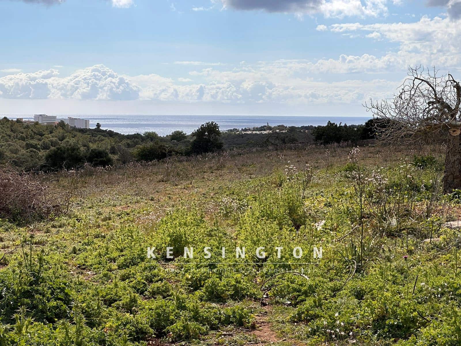 4 quarto Moradia para venda em Son Macia - 1 250 000 € (Ref: 9188727)