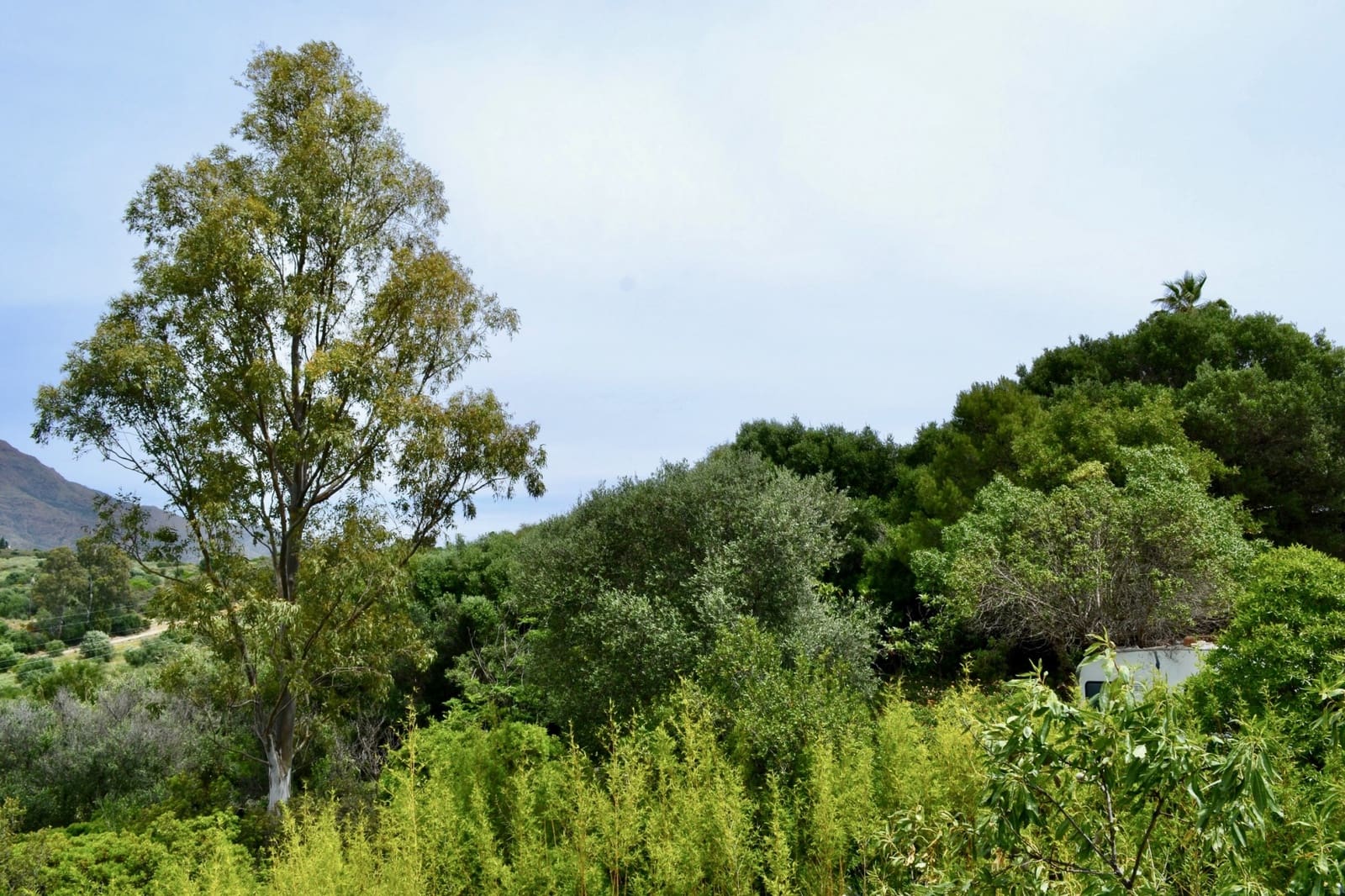 Tontti myytävänä paikassa Estepona - 690 000 € (Ref: 8843262)