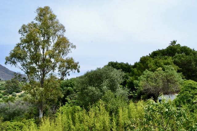 Building Plot for sale in Guadalobón, Estepona - € 690,000 (Ref: 8843262)