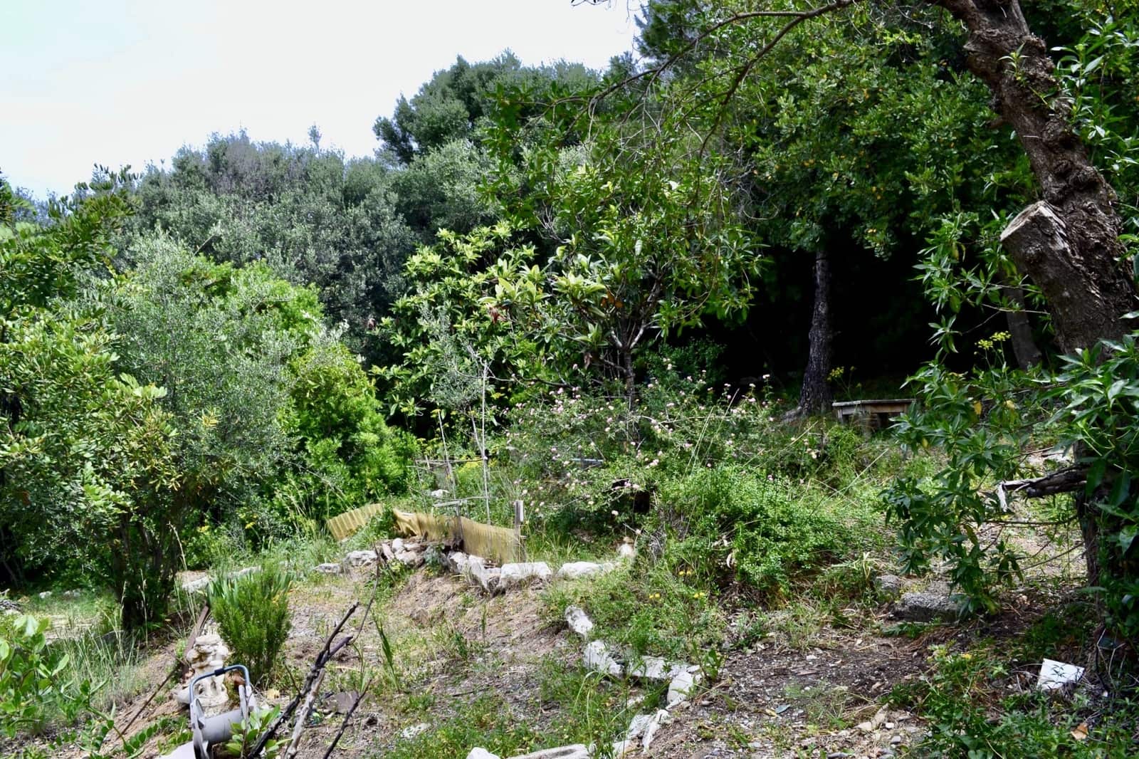 Tontti myytävänä paikassa Estepona - 690 000 € (Ref: 8843262)