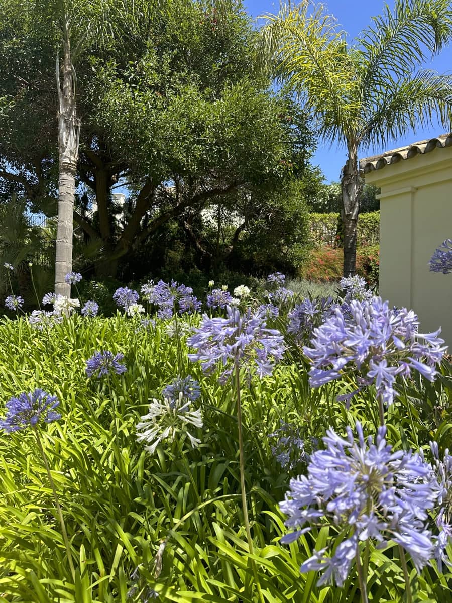 2 bedroom Apartment for sale in Casares with pool garage - € 425,000 (Ref: 9574176)