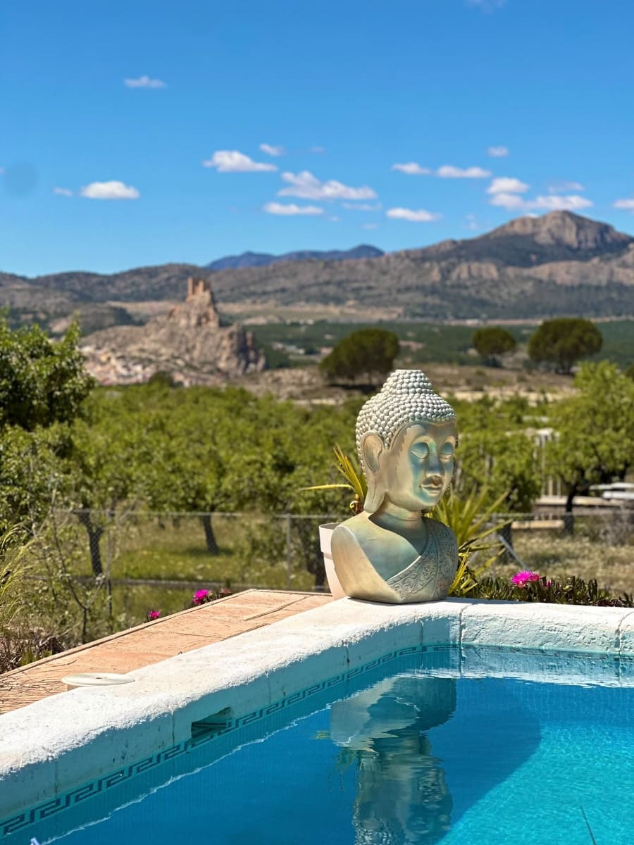 3 quarto Quinta/Casa Rural para venda em Sax com piscina - 395 000 € (Ref: 10174837)