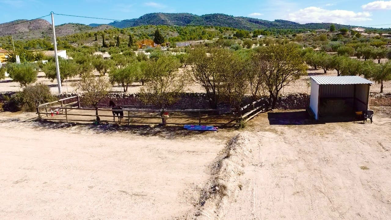 3 quarto Quinta/Casa Rural para venda em Sax com piscina - 395 000 € (Ref: 10174837)