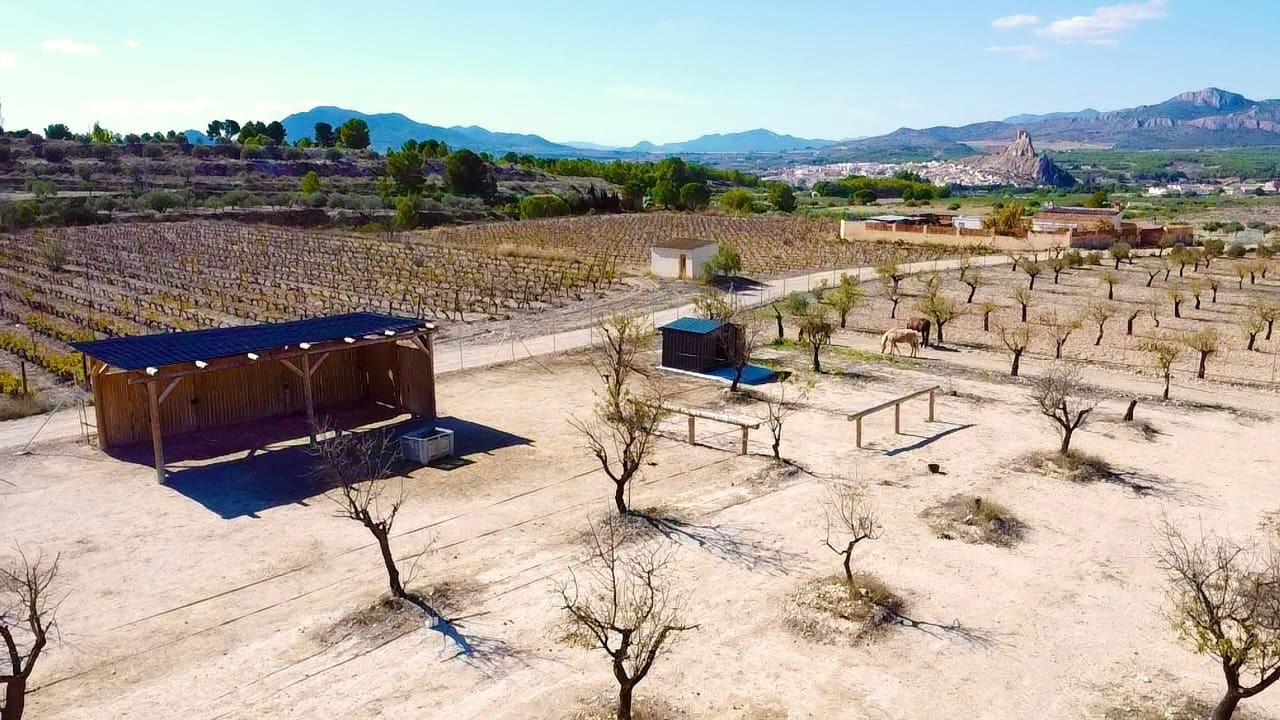 3 quarto Quinta/Casa Rural para venda em Sax com piscina - 395 000 € (Ref: 10174837)