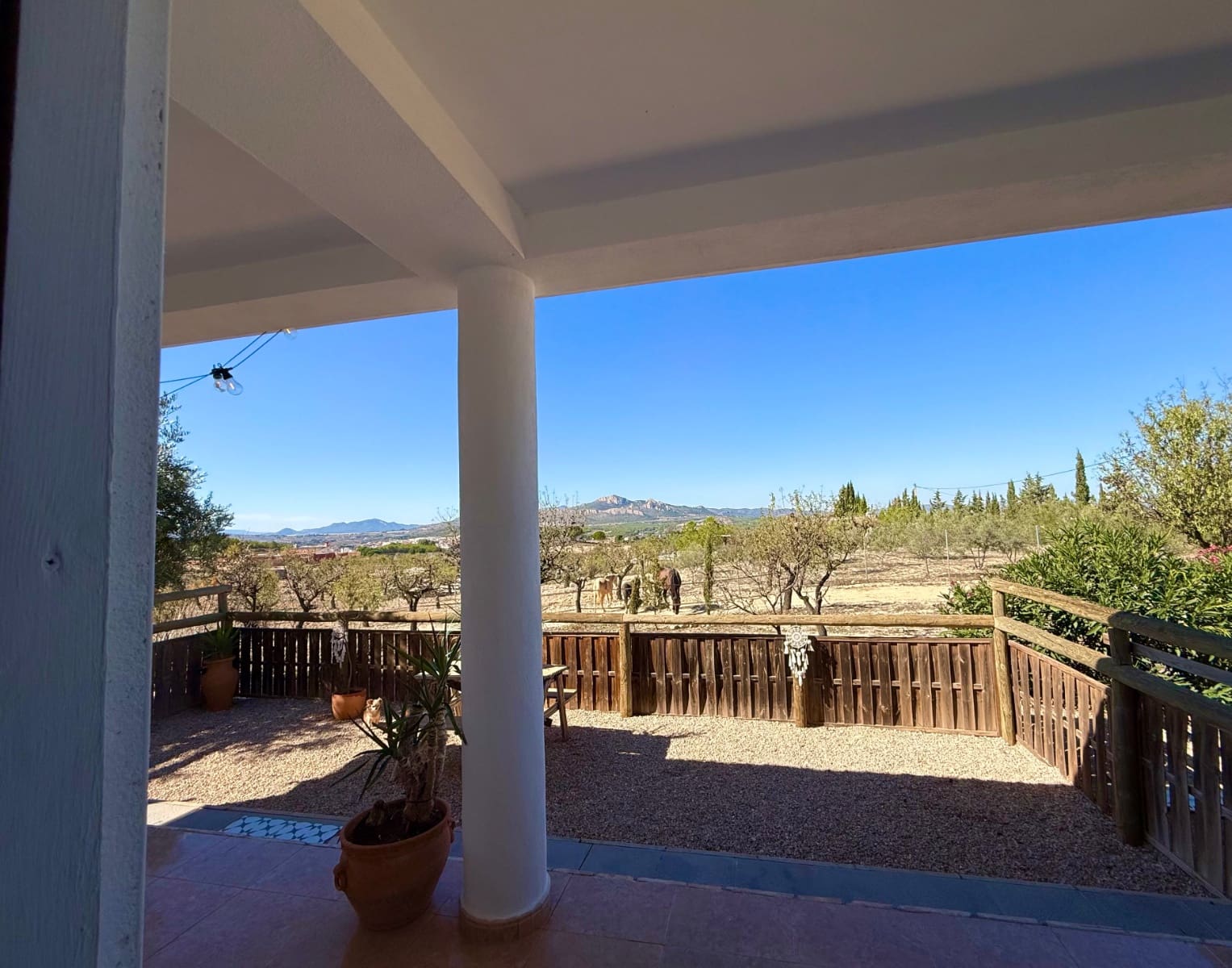 3 quarto Quinta/Casa Rural para venda em Sax com piscina - 395 000 € (Ref: 10174837)
