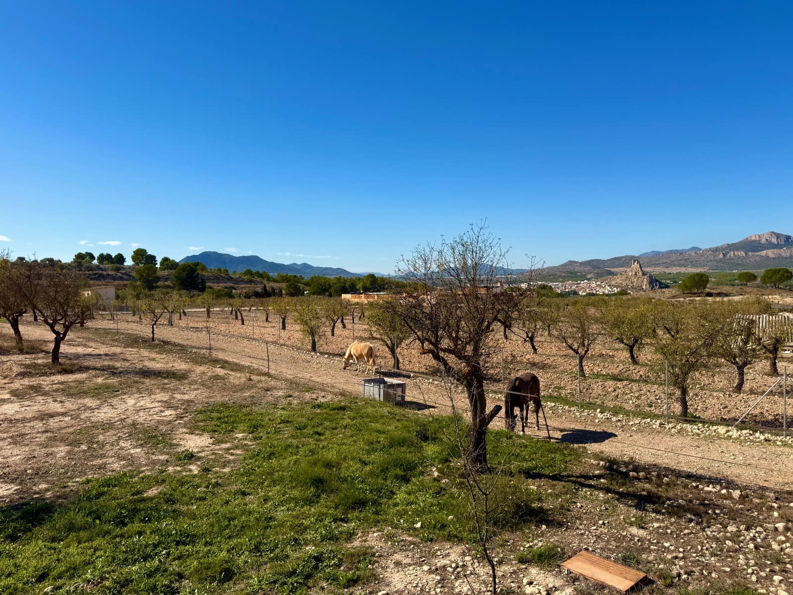 3 quarto Quinta/Casa Rural para venda em Sax com piscina - 395 000 € (Ref: 10174837)