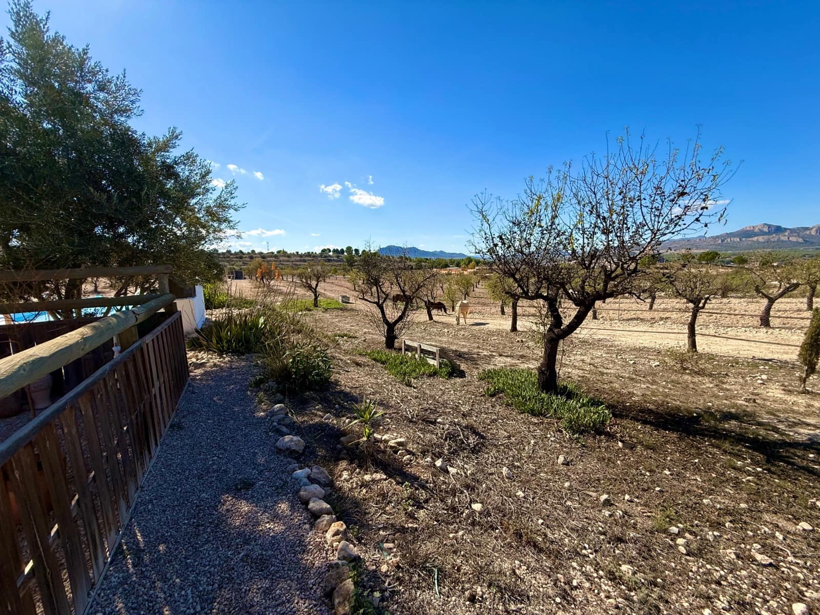 3 quarto Quinta/Casa Rural para venda em Sax com piscina - 395 000 € (Ref: 10174837)