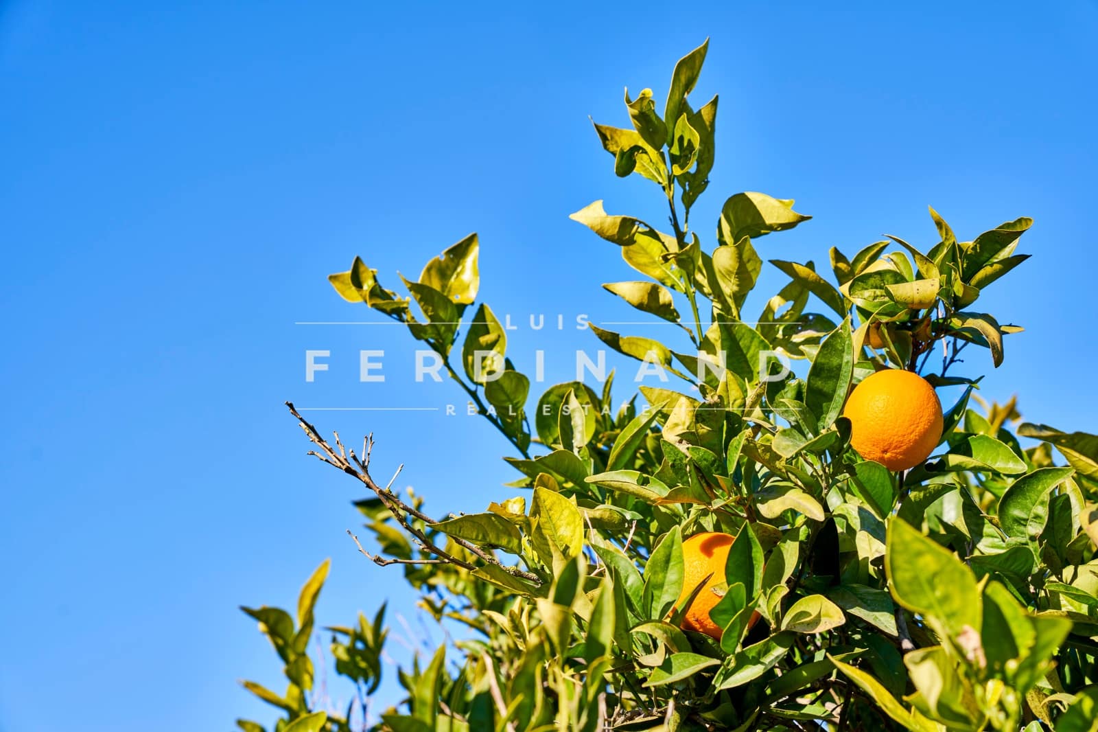 6 chambre Finca/Maison de Campagne à vendre à Buger avec piscine garage - 2 500 000 € (Ref: 7409545)