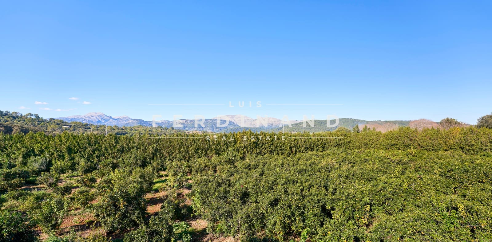 6 chambre Finca/Maison de Campagne à vendre à Buger avec piscine garage - 2 500 000 € (Ref: 7409545)