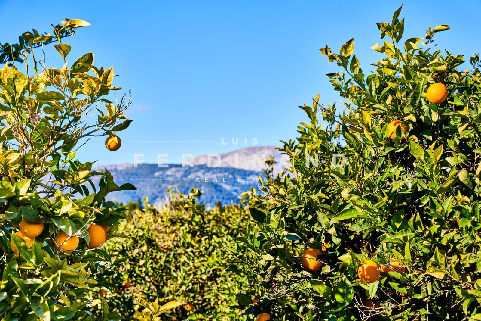 6 chambre Finca/Maison de Campagne à vendre à Buger avec piscine garage - 2 500 000 € (Ref: 7409545)
