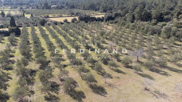 12 soveværelse Finca/Landehus til salg i Pollensa / Pollença med swimmingpool garage - € 6.000.000 (Ref: 7536224)