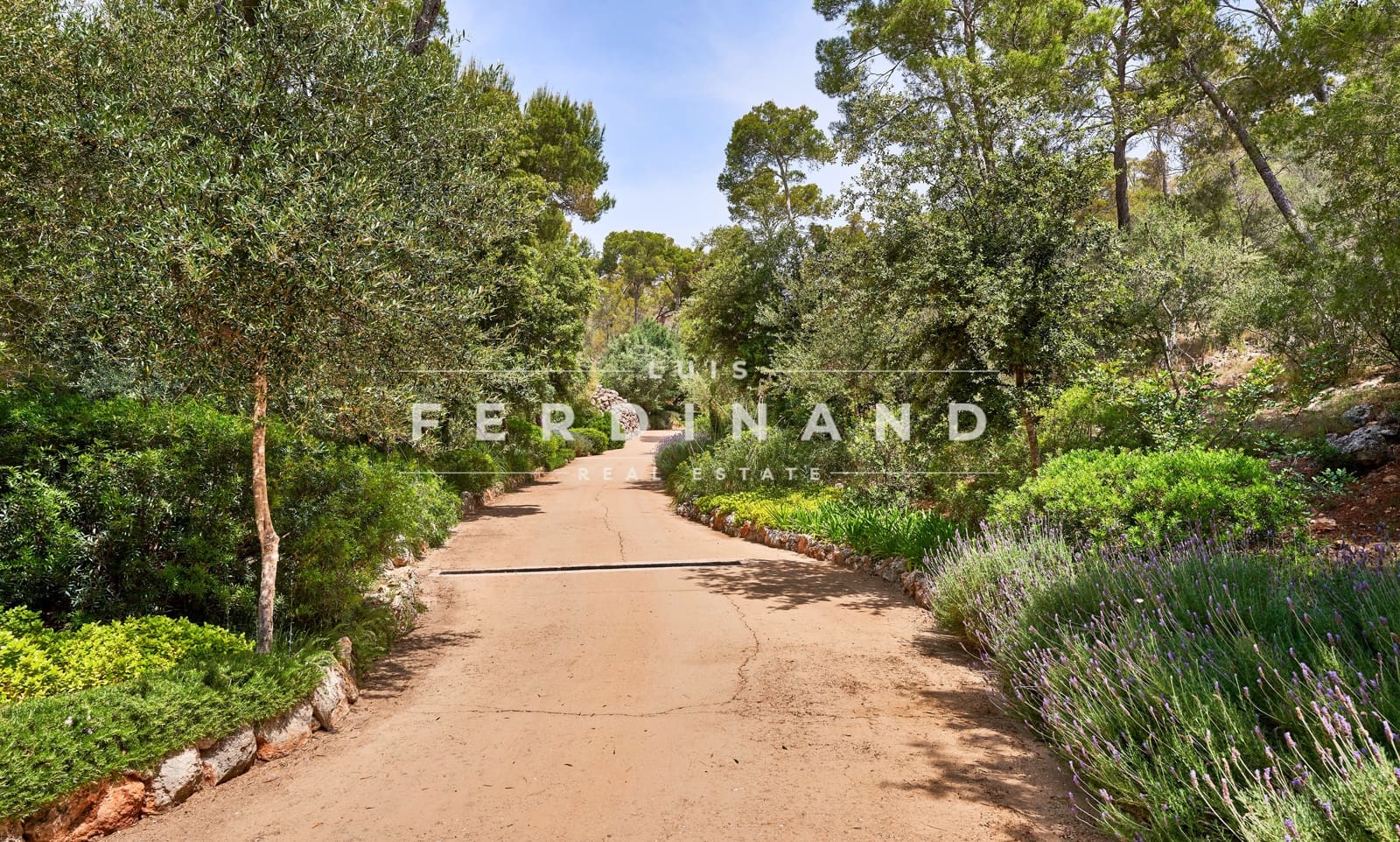 5 sypialnia Finka/Dom wiejski na sprzedaż w Palma de Mallorca z basenem garażem - 6 500 000 € (Ref: 7591561)