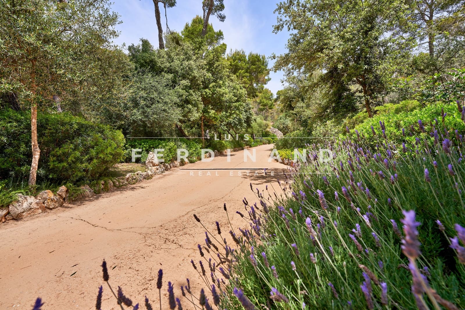 5 sypialnia Finka/Dom wiejski na sprzedaż w Palma de Mallorca z basenem garażem - 6 500 000 € (Ref: 7591561)