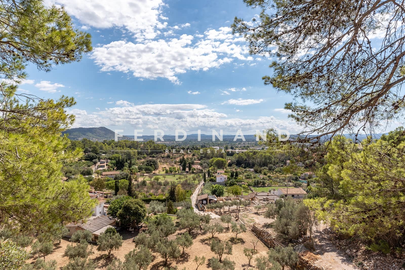 9 camera da letto Finca/Casa di Campagna in vendita in Selva con piscina garage - 4.995.000 € (Rif: 8545845)