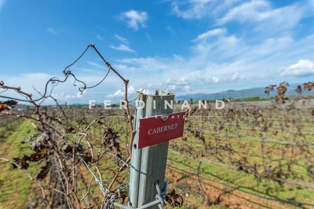 Terreno para Construção para venda em Santa María del Camí - 1 200 000 € (Ref: 8562428)