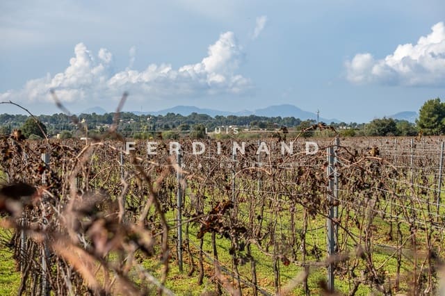 Terreno para Construção para venda em Santa María del Camí - 1 200 000 € (Ref: 8562428)