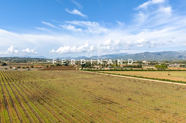 Terreno para Construção para venda em Santa María del Camí - 1 200 000 € (Ref: 8562428)