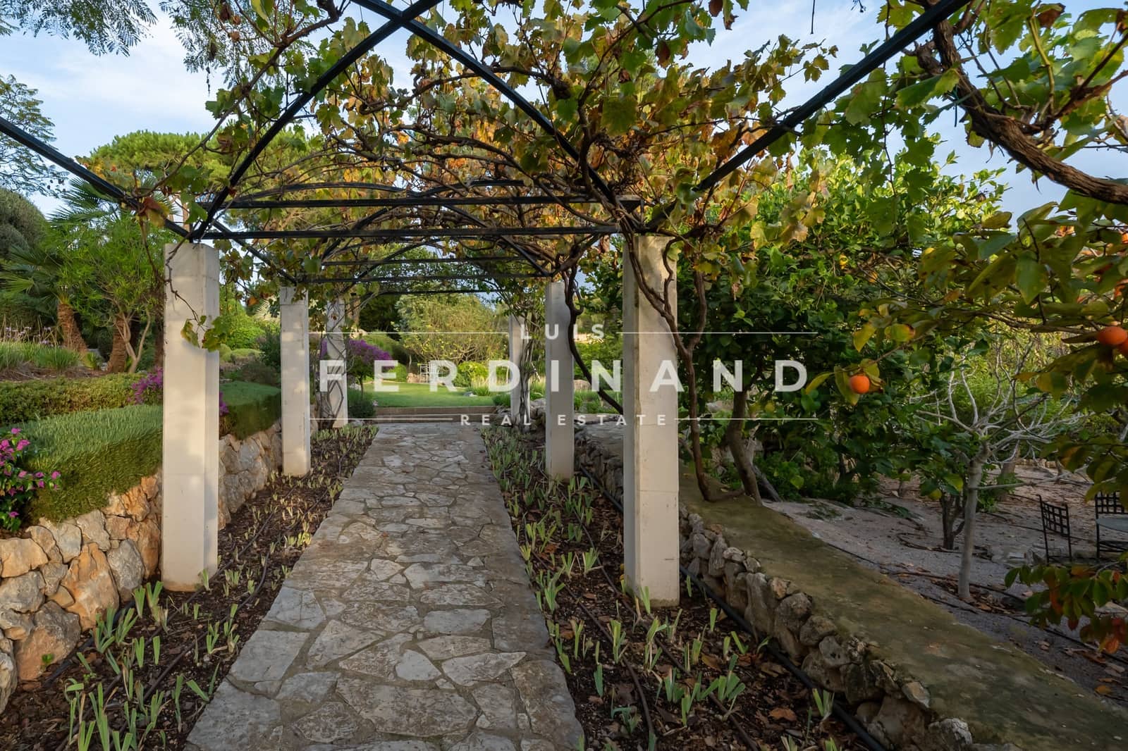 5 soveværelse Finca/Landehus til salg i Calvia med swimmingpool garage - € 6.300.000 (Ref: 8671245)