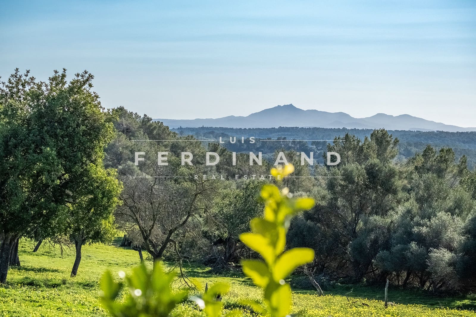 6 slaapkamer Finca/Landhuis te koop in Montuiri met zwembad garage - € 2.950.000 (Ref: 8800551)