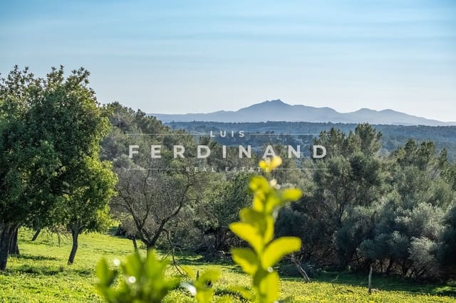 6 chambre Finca/Maison de Campagne à vendre à Montuïri avec piscine garage - 2 950 000 € (Ref: 8800551)