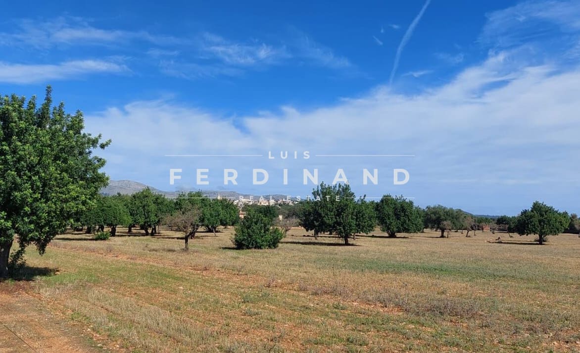 4 soveværelse Finca/Landehus til salg i Buger med swimmingpool - € 1.990.000 (Ref: 9167509)