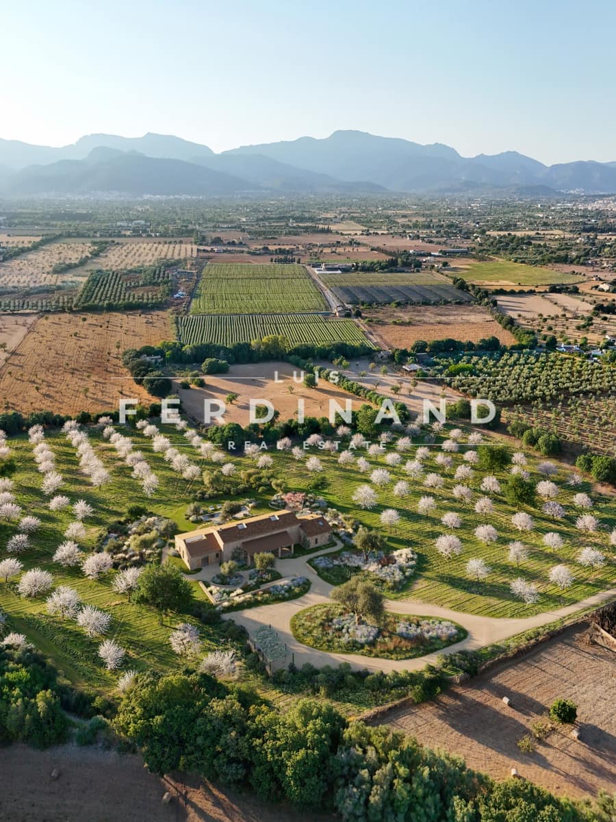 5 soveværelse Finca/Landehus til salg i Binissalem med swimmingpool garage - € 7.995.000 (Ref: 9186261)