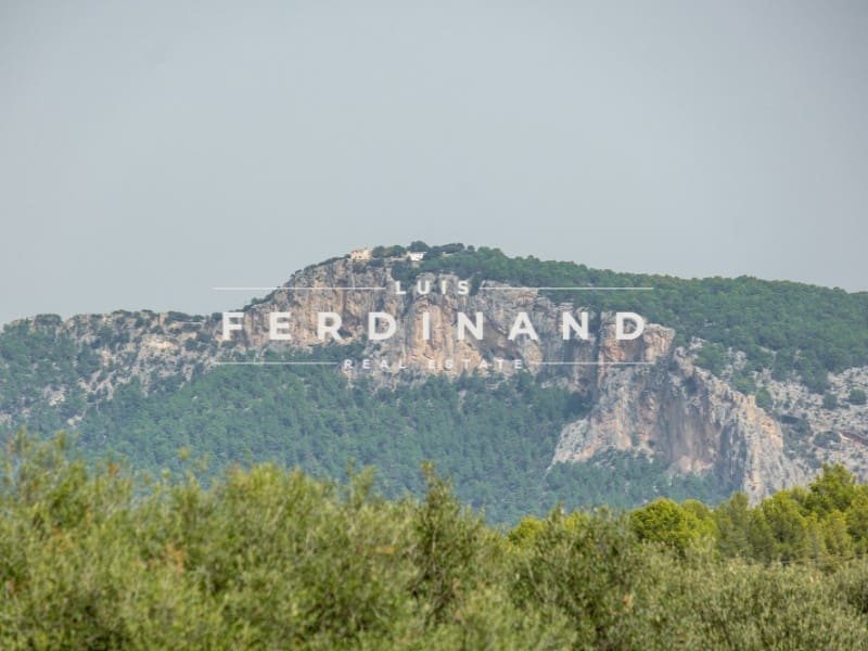 5 Zimmer Finca/Landgut zu verkaufen in Santa Maria del Cami mit Pool Garage - 4.900.000 € (Ref: 9651732)