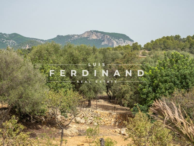 5 Zimmer Finca/Landgut zu verkaufen in Santa Maria del Cami mit Pool Garage - 4.900.000 € (Ref: 9651732)