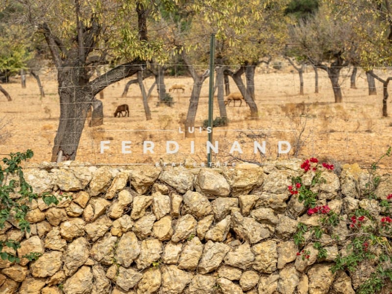 5 Zimmer Finca/Landgut zu verkaufen in Santa Maria del Cami mit Pool Garage - 4.900.000 € (Ref: 9651732)