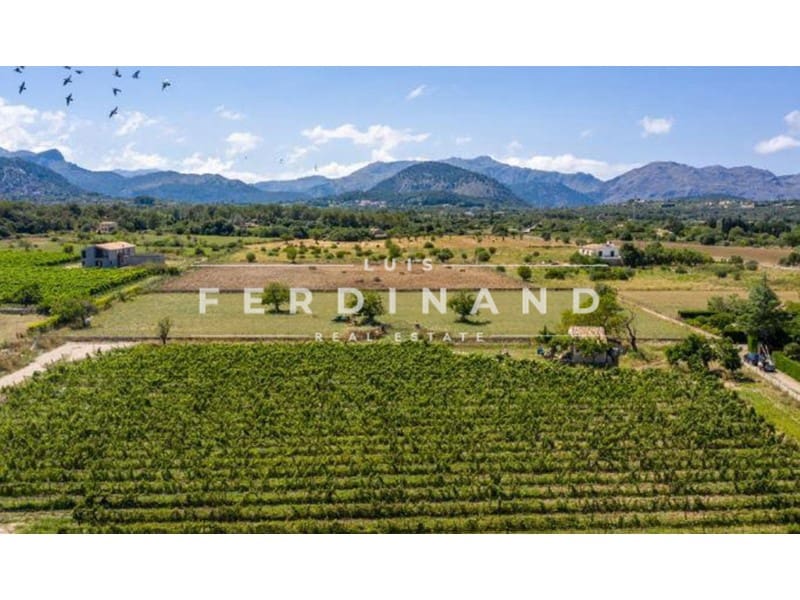 4 quarto Quinta/Casa Rural para venda em Pollensa / Pollenca com piscina - 4 200 000 € (Ref: 9651736)